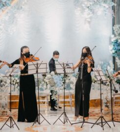 Divo Music Management