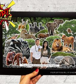 Pop Up Your Life Frame