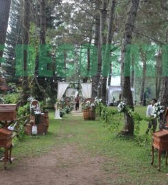 Home Smile Florist (HSF)