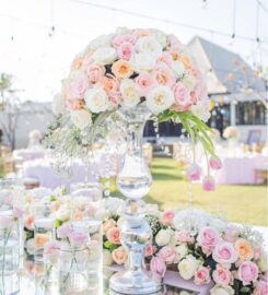 Butterfly Event Styling Boutique