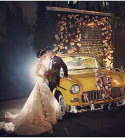 Hauwke’s Auto Gallery