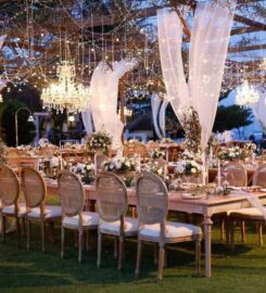 Butterfly Event Styling Boutique