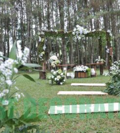 Home Smile Florist (HSF)